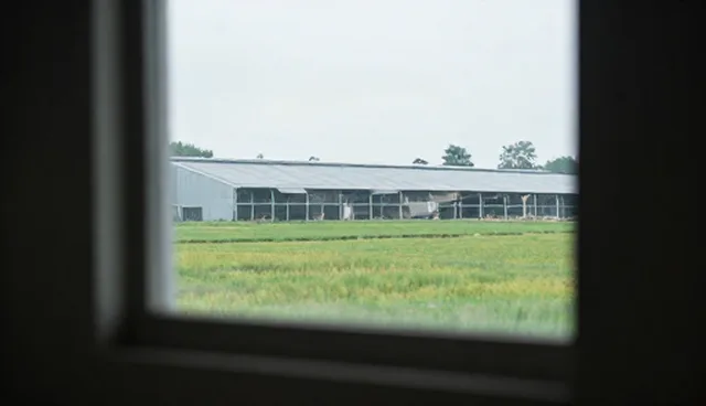 缓存机制:教育信息服务项目设计的优化策略